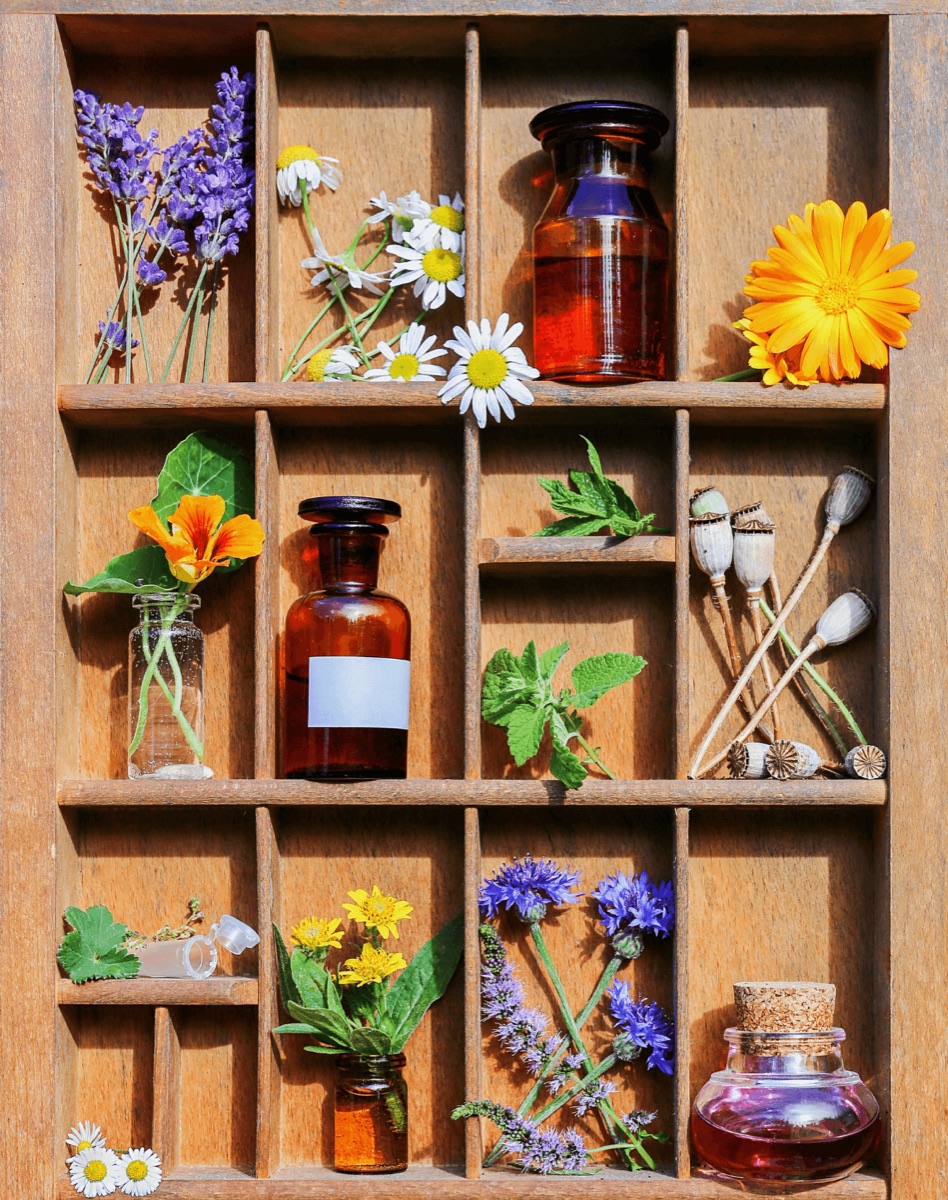 Herbal Medicine Chest