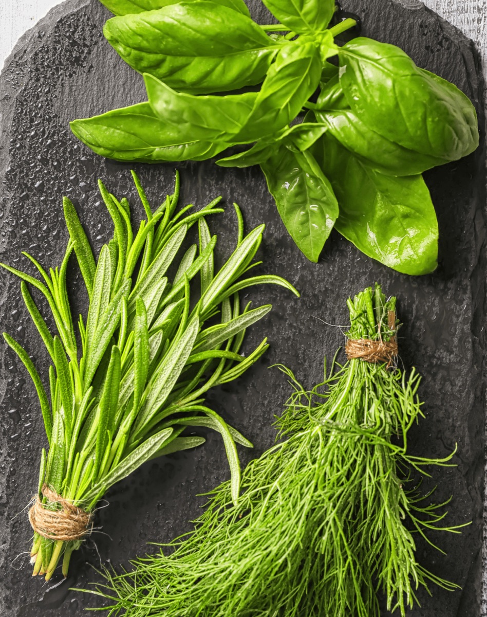 Top Culinary Herbs