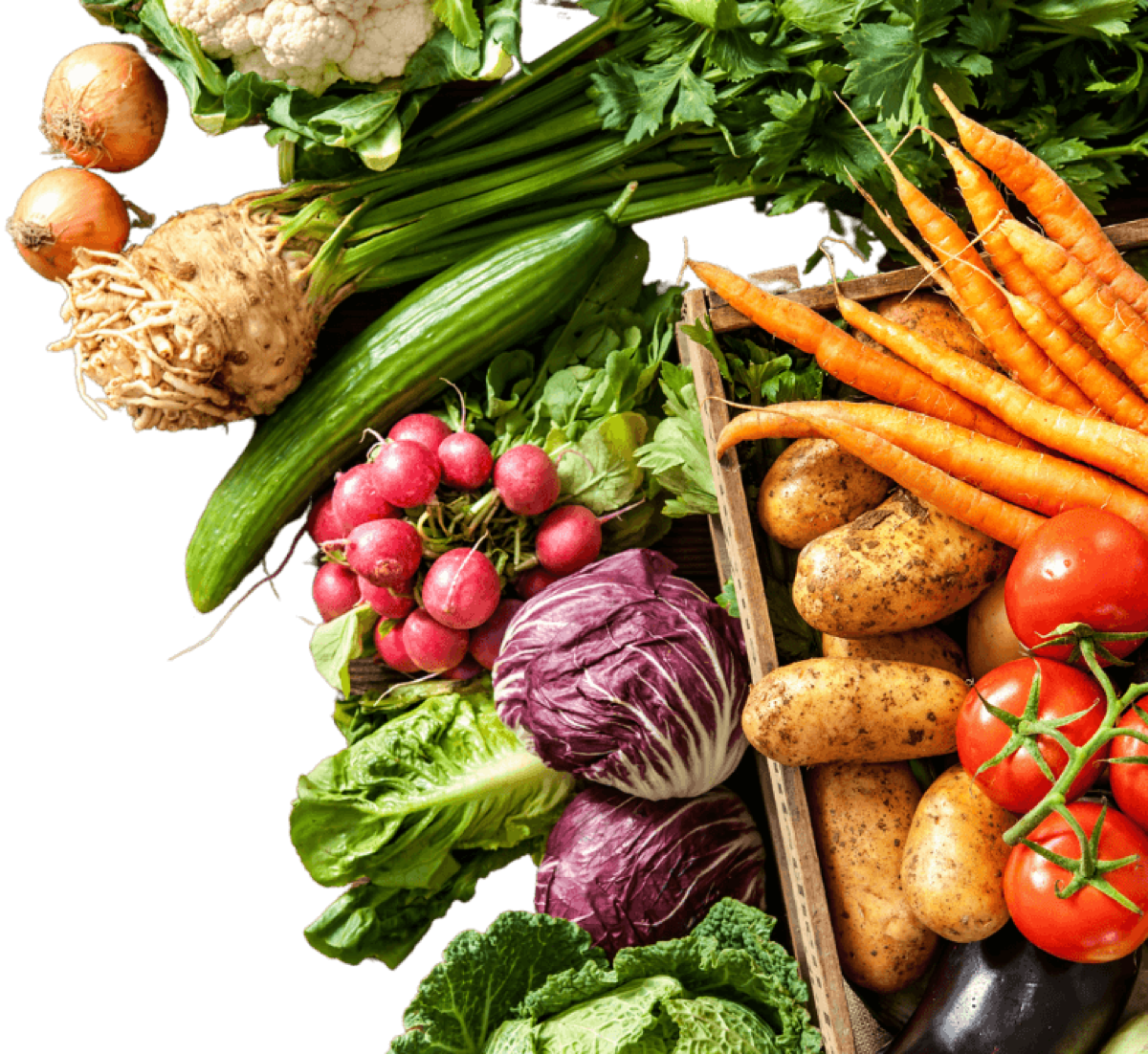 Garden vegetables